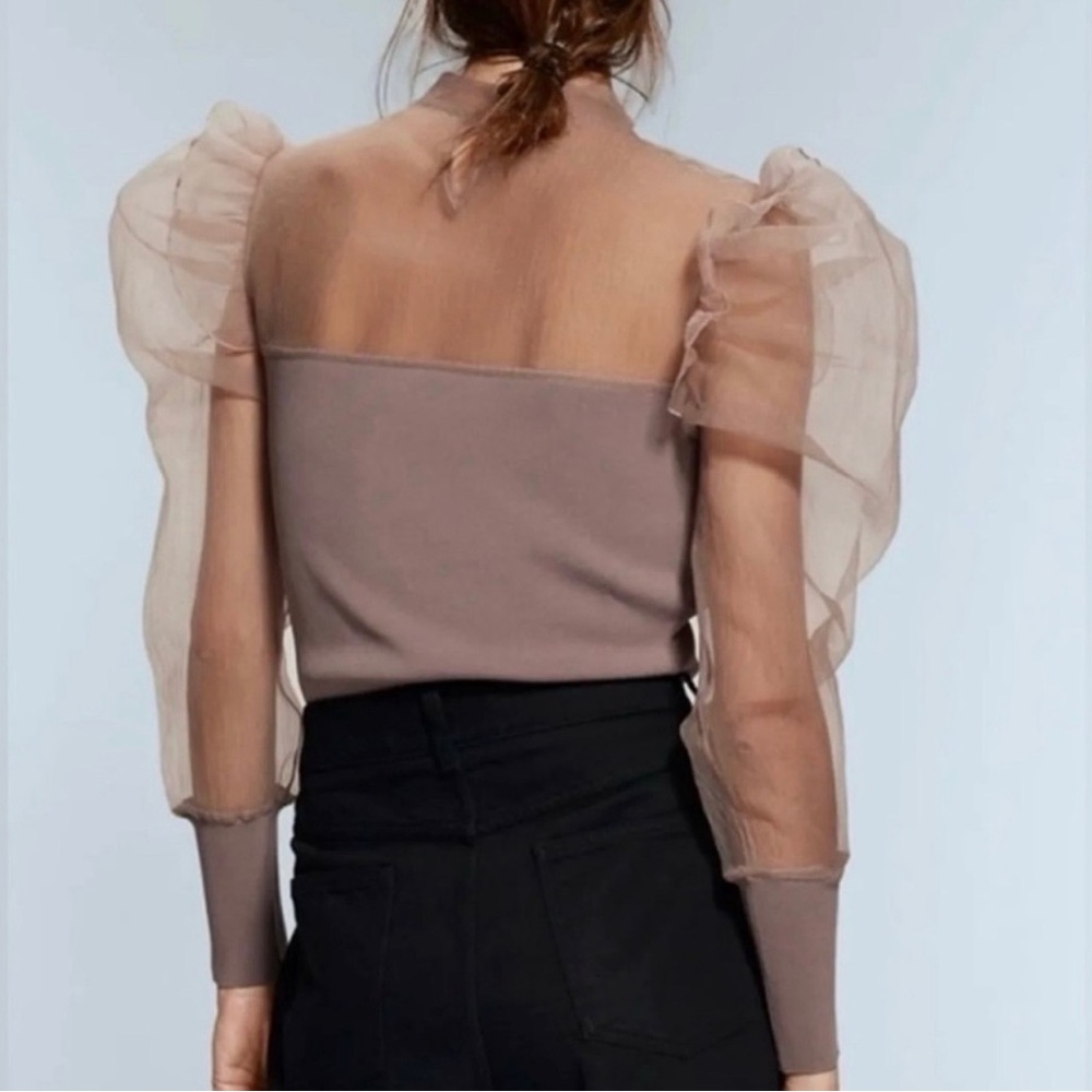 Zara Sheer Ruffle Top - Picture 4 of 5